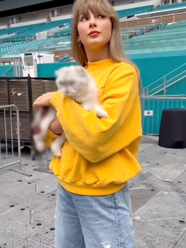 Taylor Swift Yellow Sweatshirt Miami Eras Tour Sweatshirt