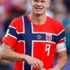 FIFA World Cup 2026 Erling Haaland T-Shirt